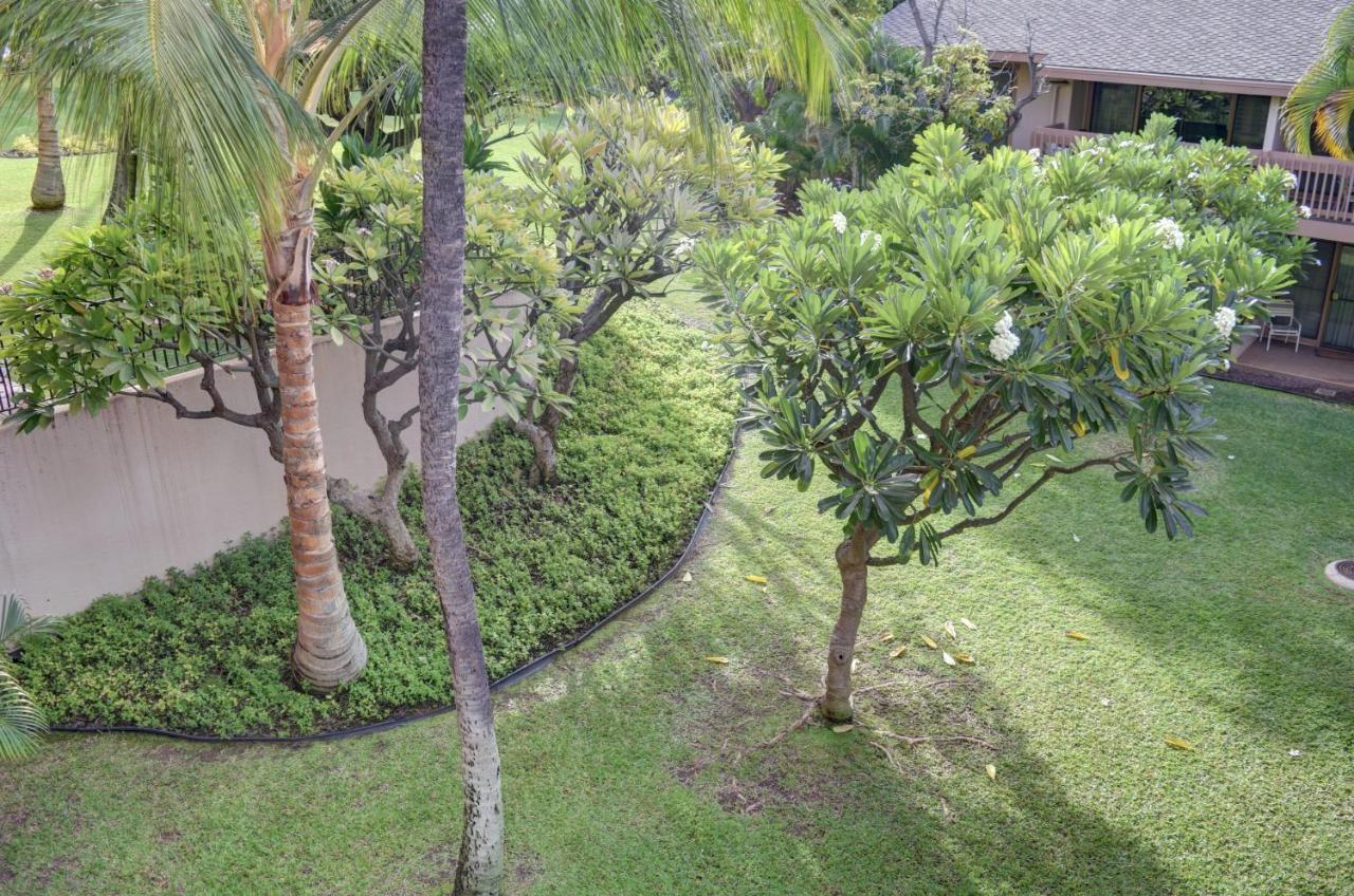 Appartement Kihei Akahi C308 à Wailea  Extérieur photo